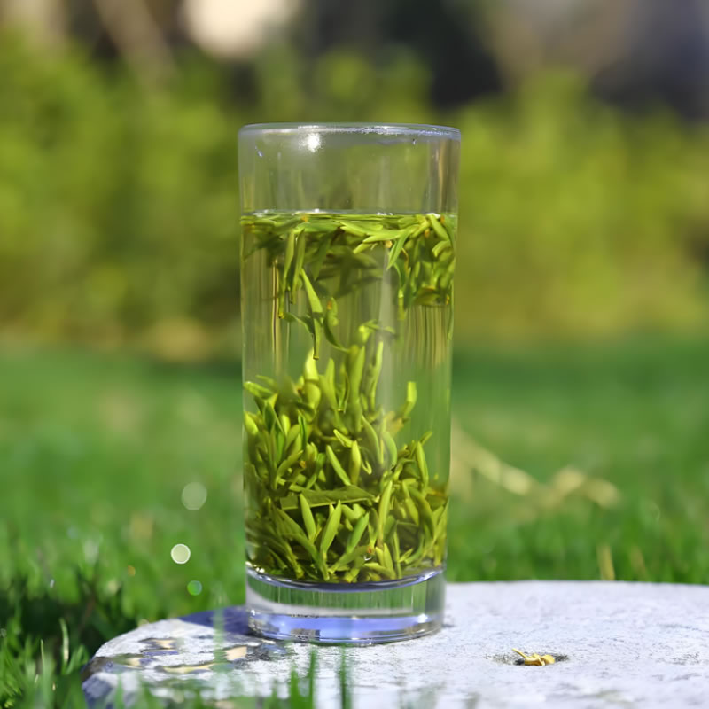 霍山黄芽.jpg