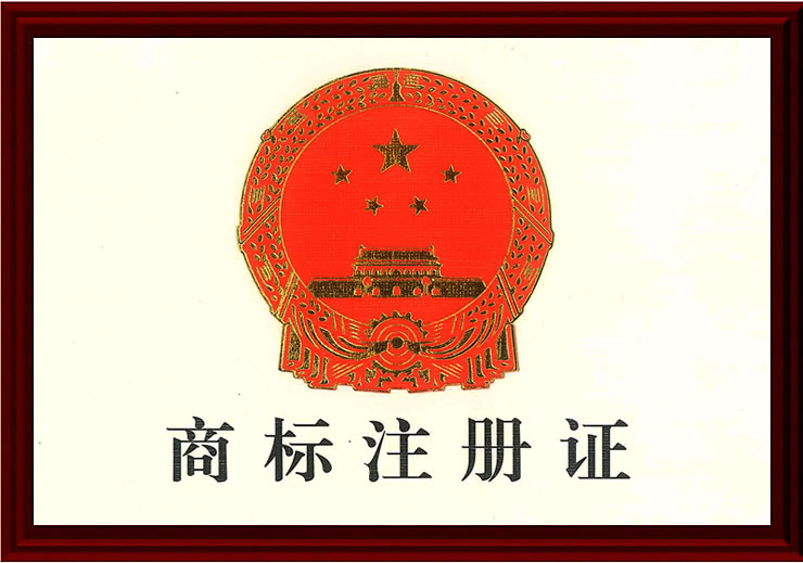 1-241229151943243.jpg